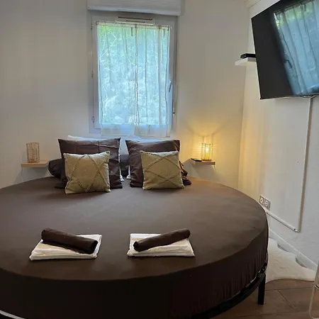 شقة T2, Balneo, Sauna, Lit Rond, Jeux Arcades, Parking تولوز